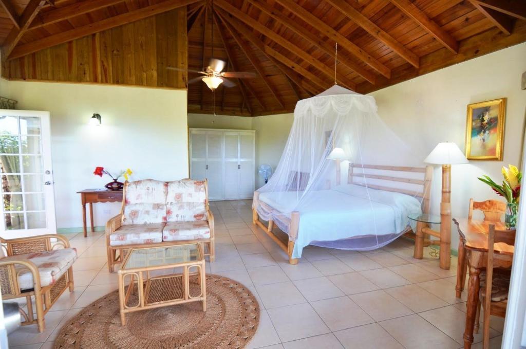 Pimento Lodge Resort ポート・アントニオ 部屋 写真